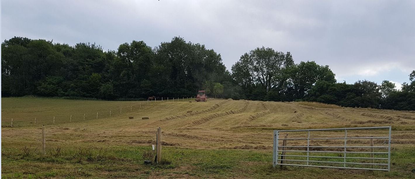 Making hay whilst the sun shines (July)